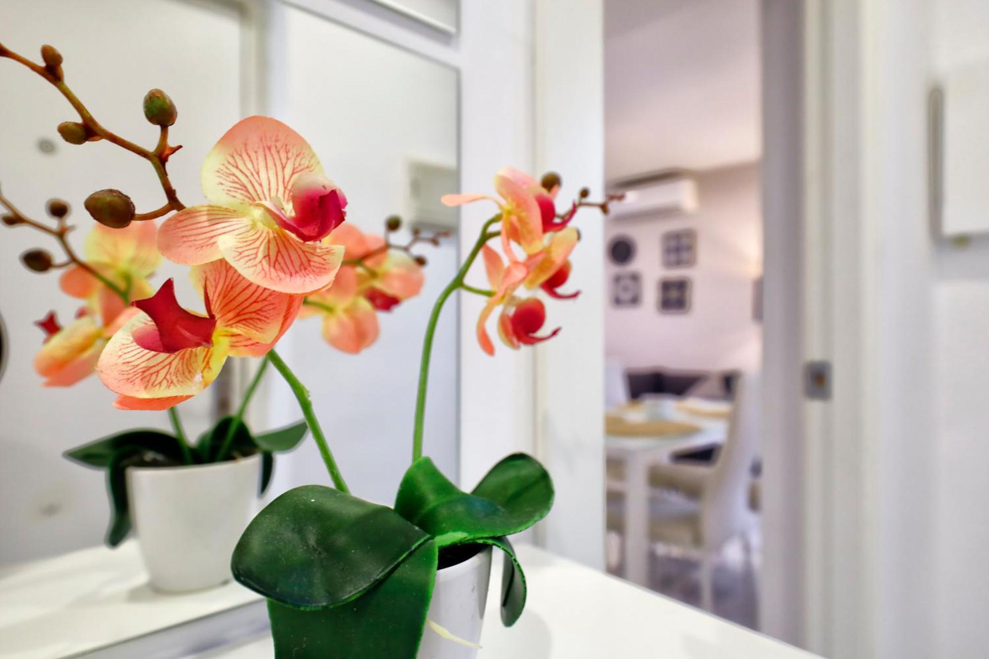 Encanto En La Juderia: Apartamento Con Patio Córdoba Exterior foto